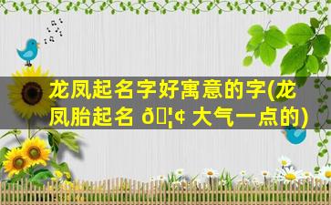 龙凤起名字好寓意的字(龙凤胎起名 🦢 大气一点的)